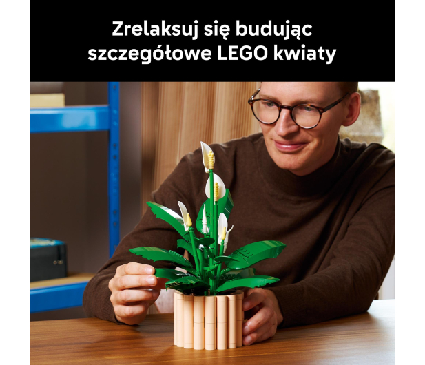 LEGO BOTANICALS 11504 Skrzydłokwiat - 1473410 - zdjęcie 5